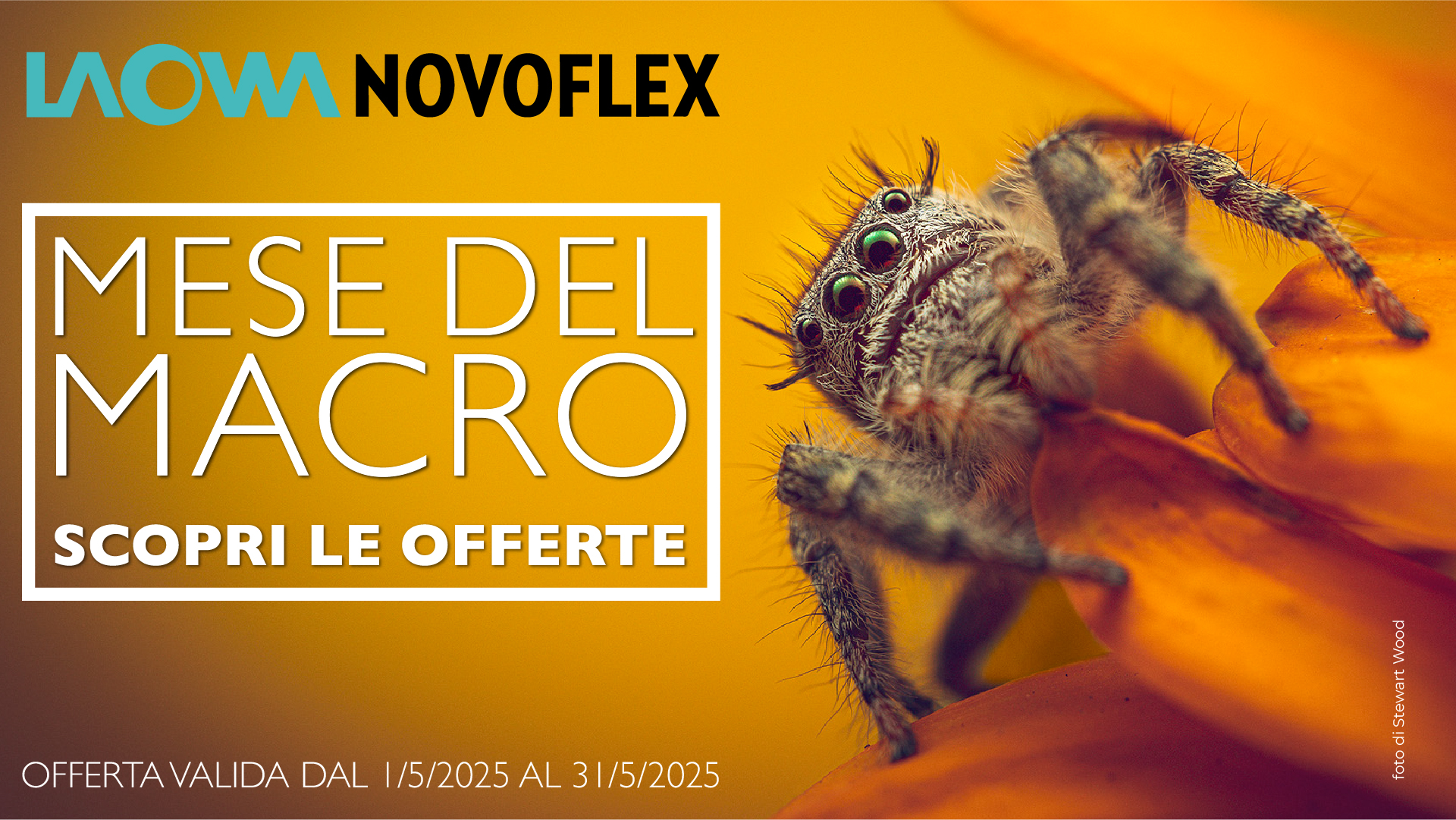 Immergiti nelle meraviglie del micromondo con sconti fino al 20%