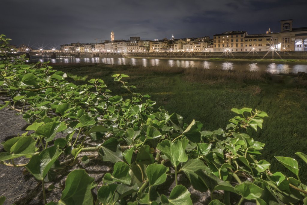 Alberto Ghizzi Panizza