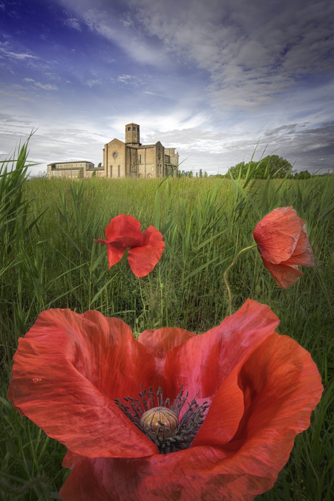 � Alberto Ghizzi Panizza