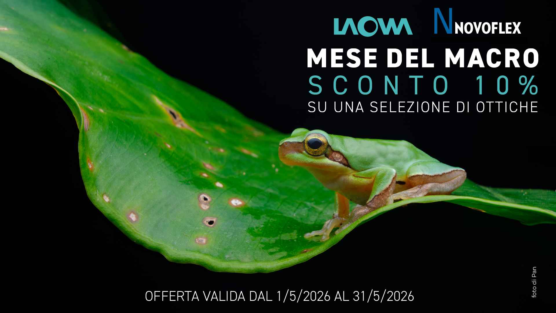 Sconti sulle pi� amate ottiche macro